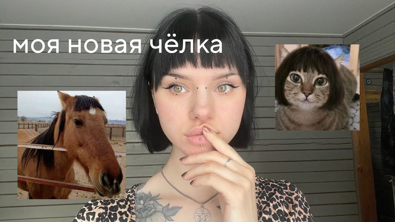 СТРИГУ ЧЕЛКУ САМА СЕБЕ ДОМА✨💇🏻‍♀️🤎
