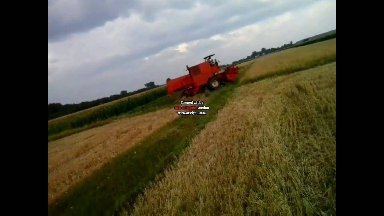 Żniwa 2016 Ursus c330, Bizon zo56 oczami traktorzysty