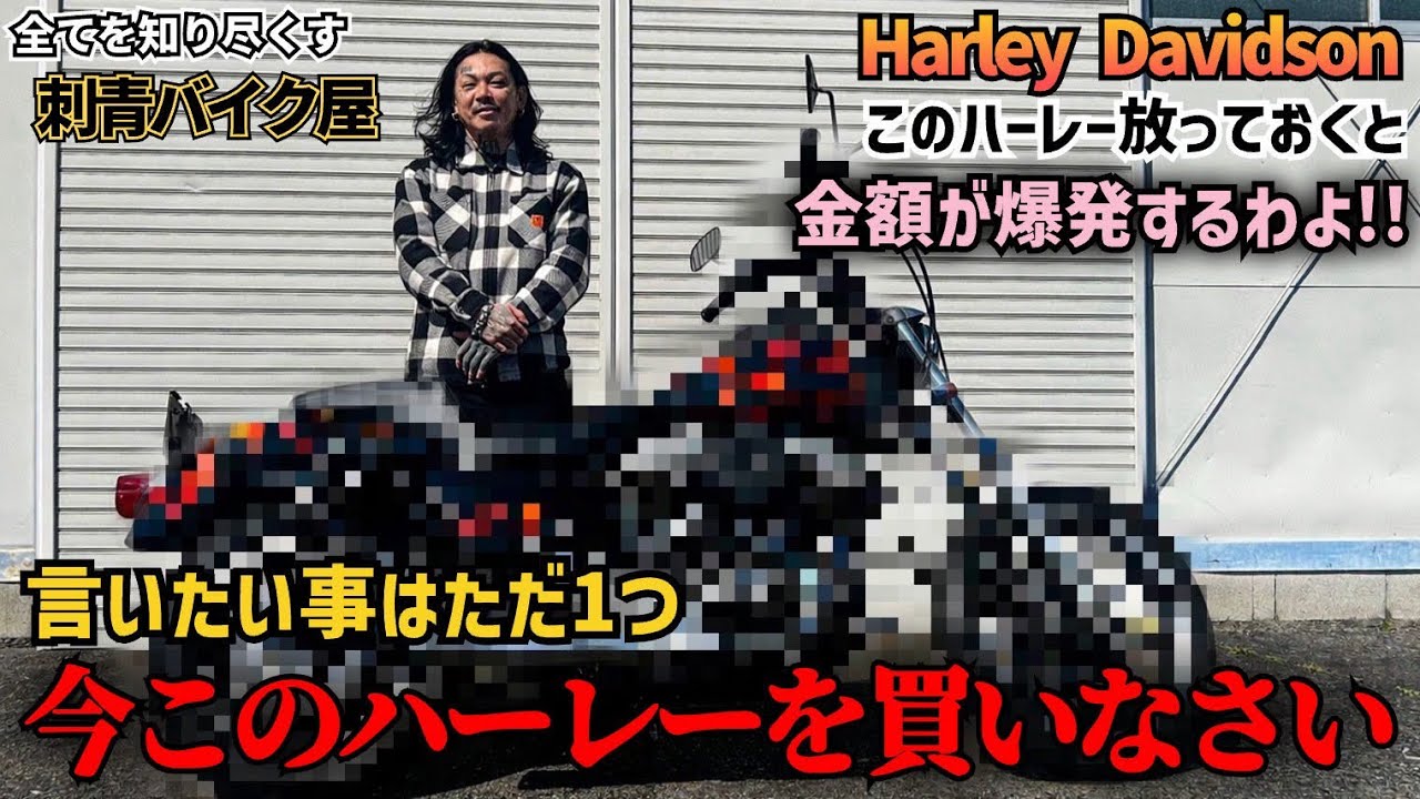 【ハーレー】海外勢が狙ってる相場爆上がり中の車体を購入！今買わないと後悔する理由をここだけで話すわよ！