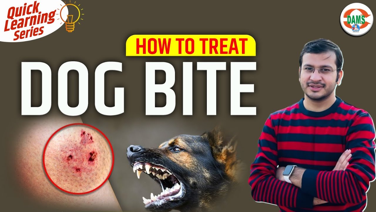 How to Treat Dog Bite? | Quick Learning Series by Siddharth Sir | DAMS Nursing