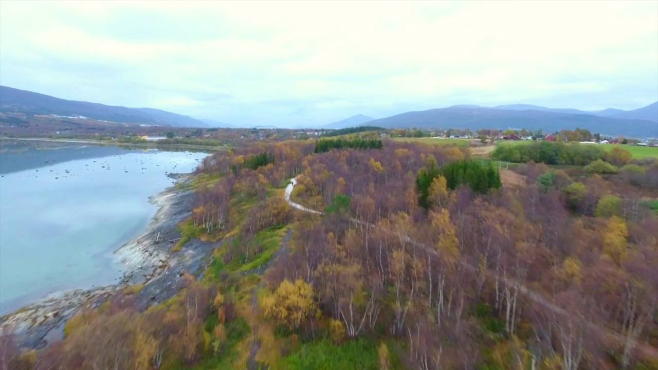 Høst Fauske 2016