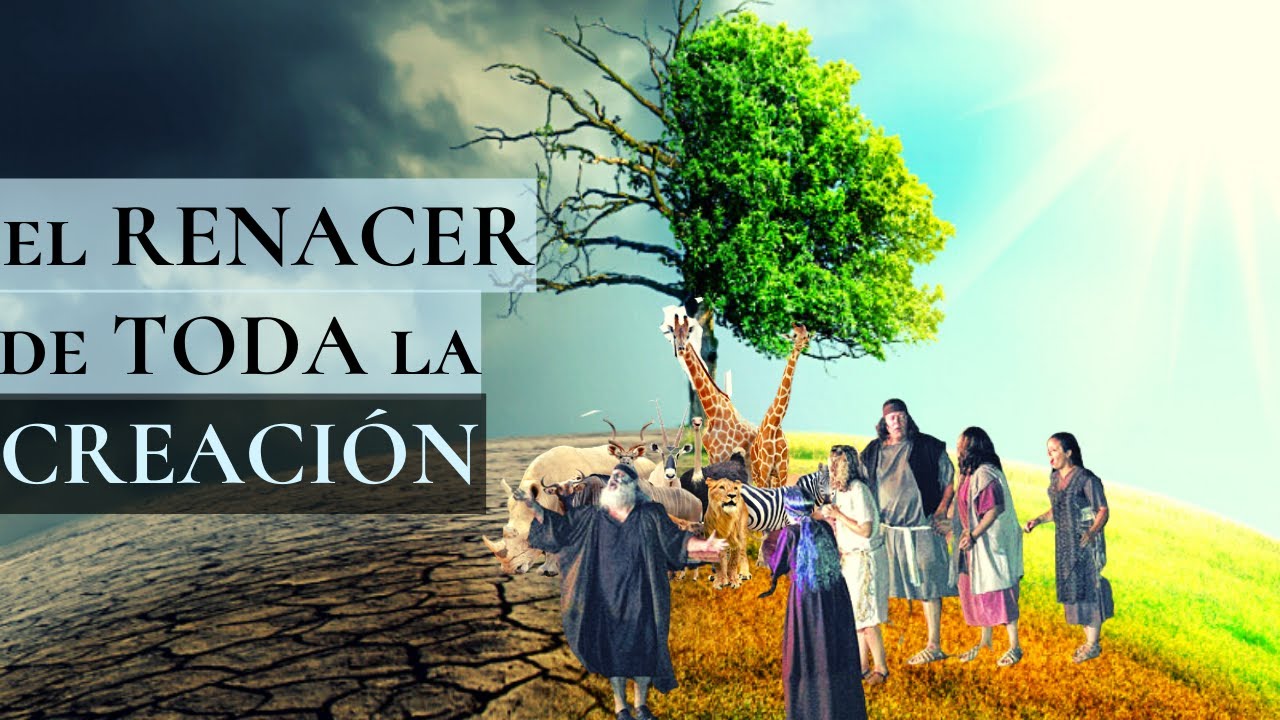 El RENACER de la CREACIÓN  |  Noé finalmente tocó tierra luego de 40 días | Génesis 8