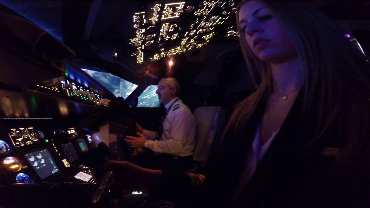 Dastyflysim Professional Flight Simulator