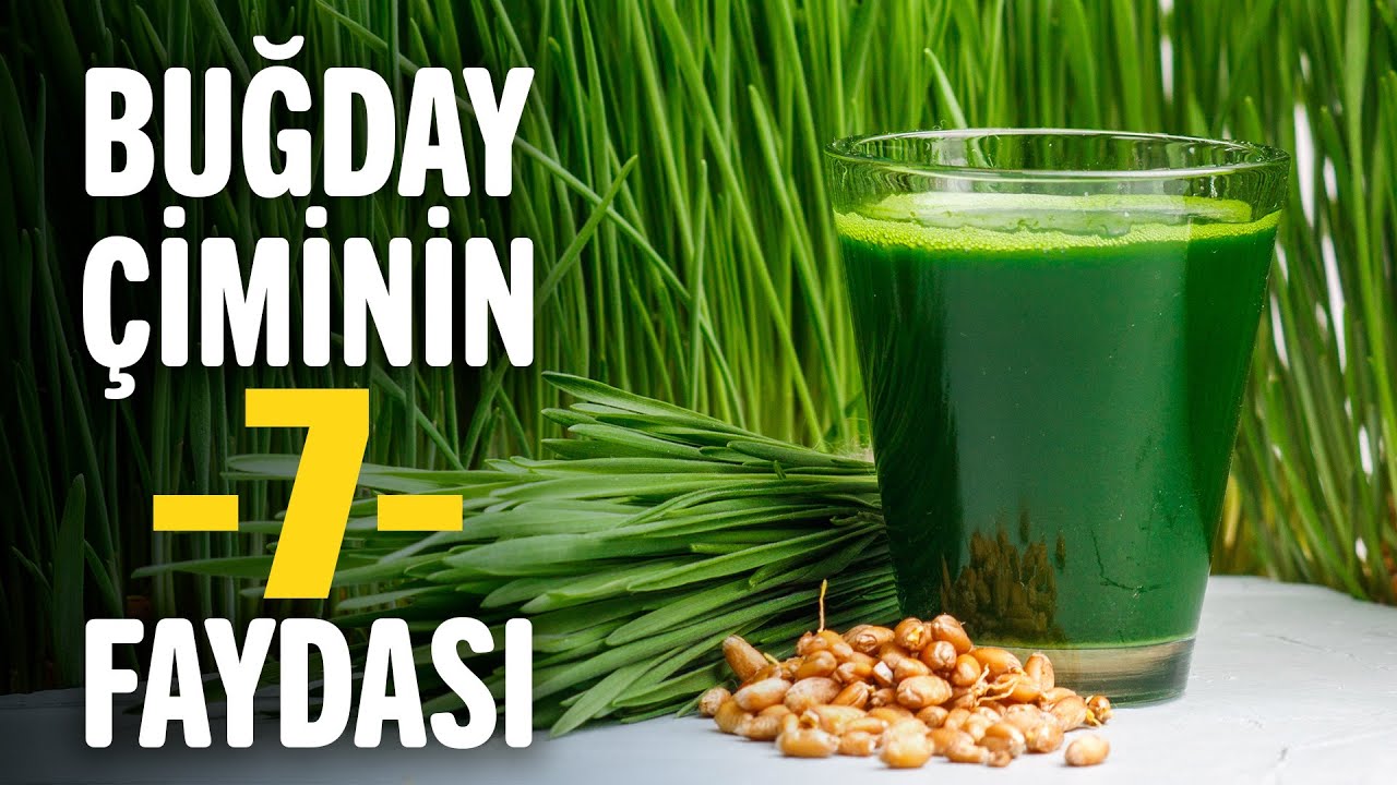 Buğday &ccedil;iminin faydaları nelerdir?
