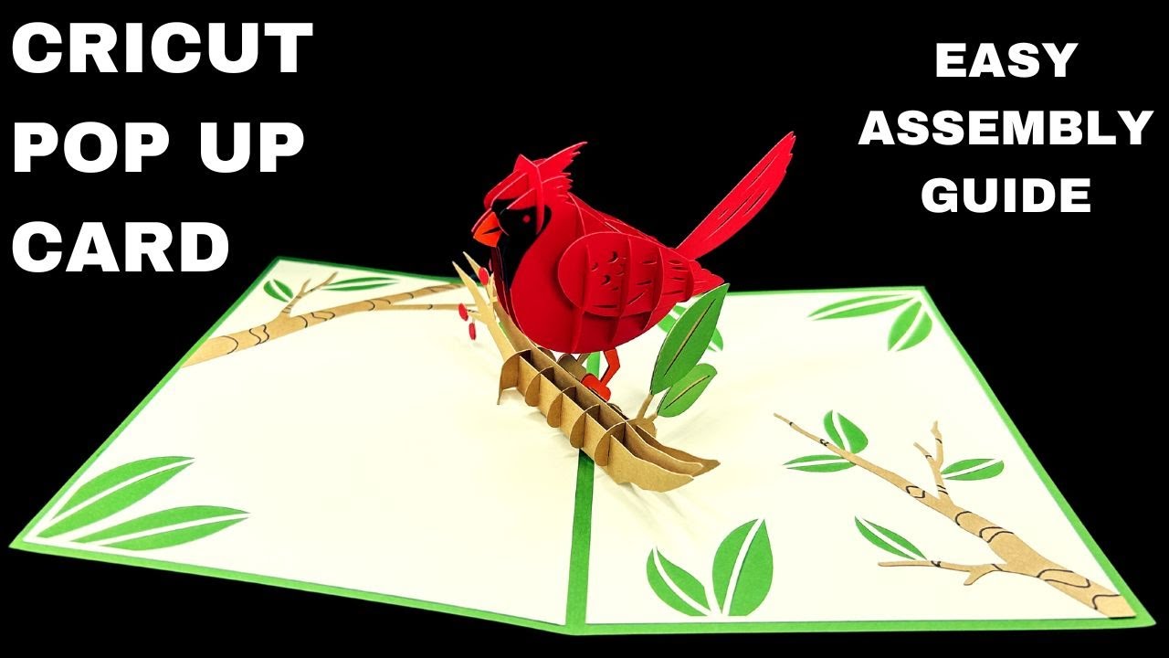 HOW TO MAKE THE CARDINAL POP UP CARD - CRICUT 2024