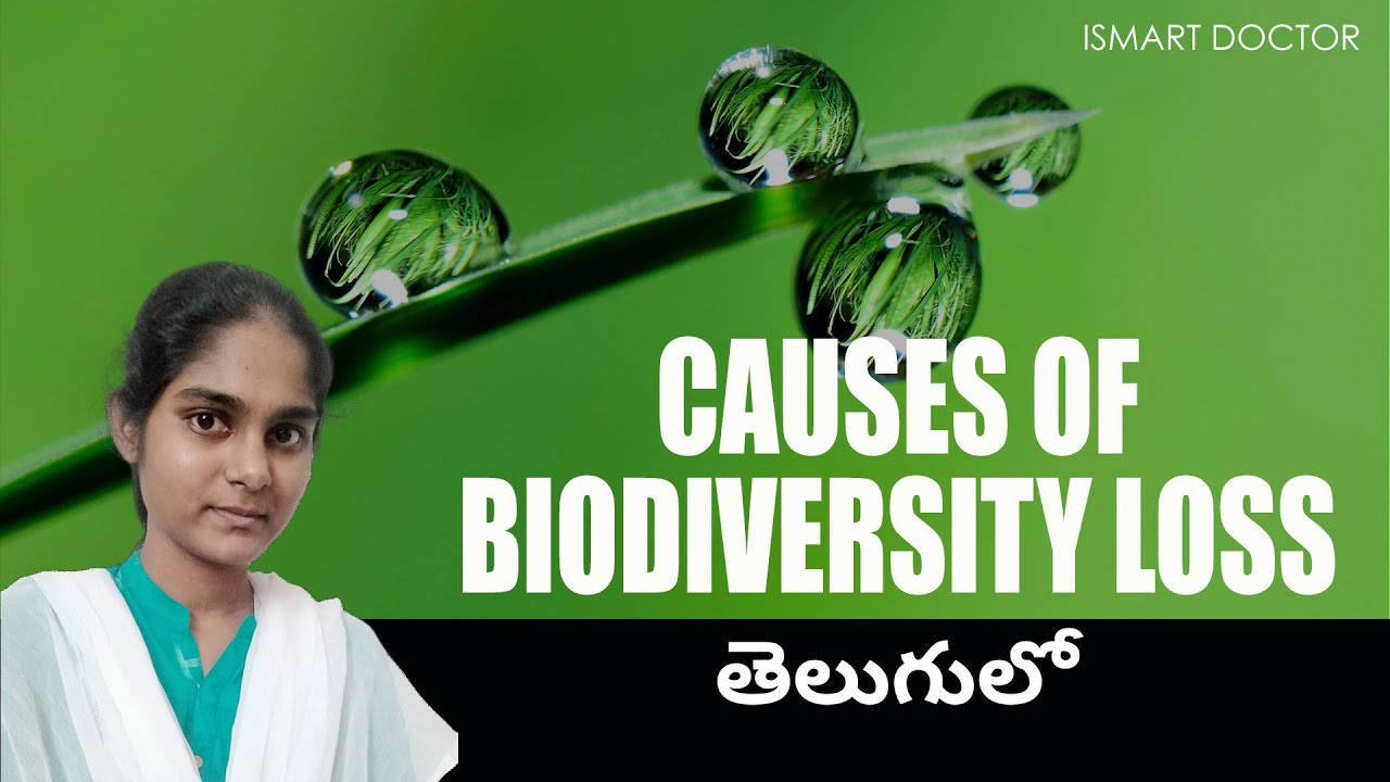 Causes/Threats of Biodiversity Loss in Telugu  || Evil Quartet