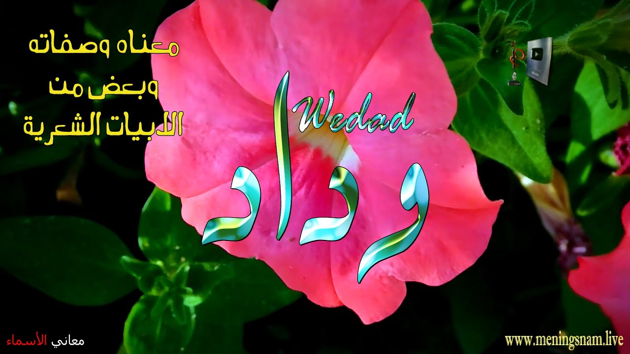 ما معنى اسم #وداد وبعض من صفات حاملة هذا الاسم على قناة معاني الاسماء #wedad
