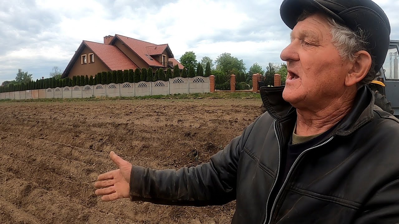 Kazimierz redli ziemniaki po bronowaniu