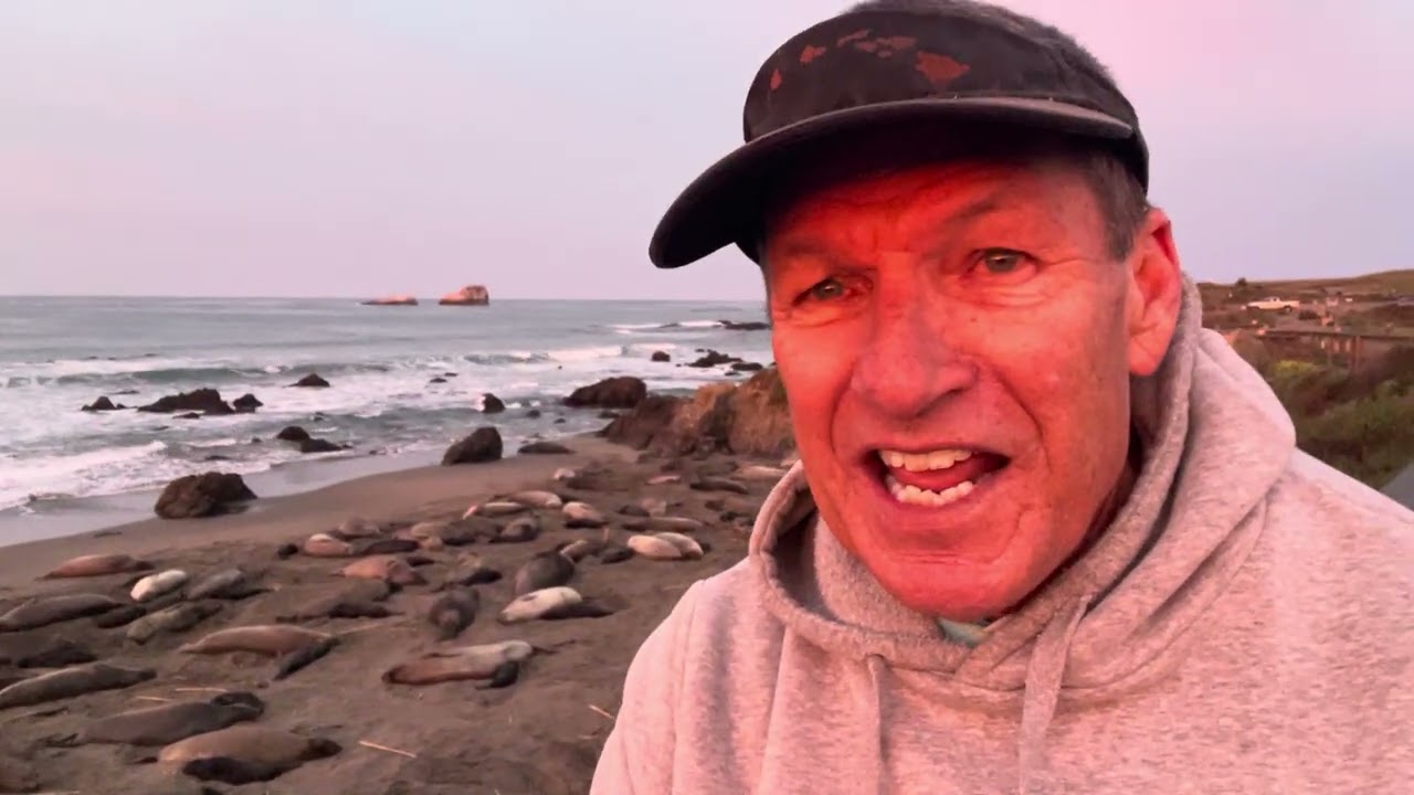 ELEPHANT SEAL BEACH 2026