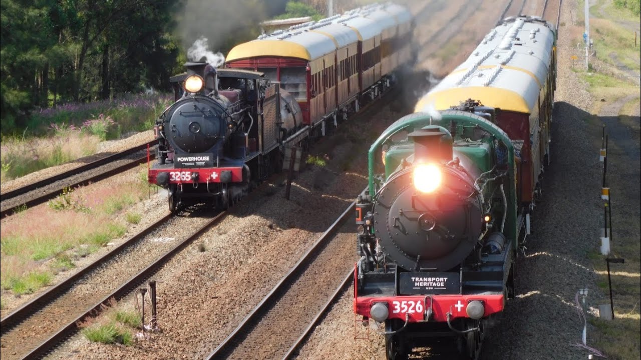 Great train race at the 2025 Hunter Valley Steamfest