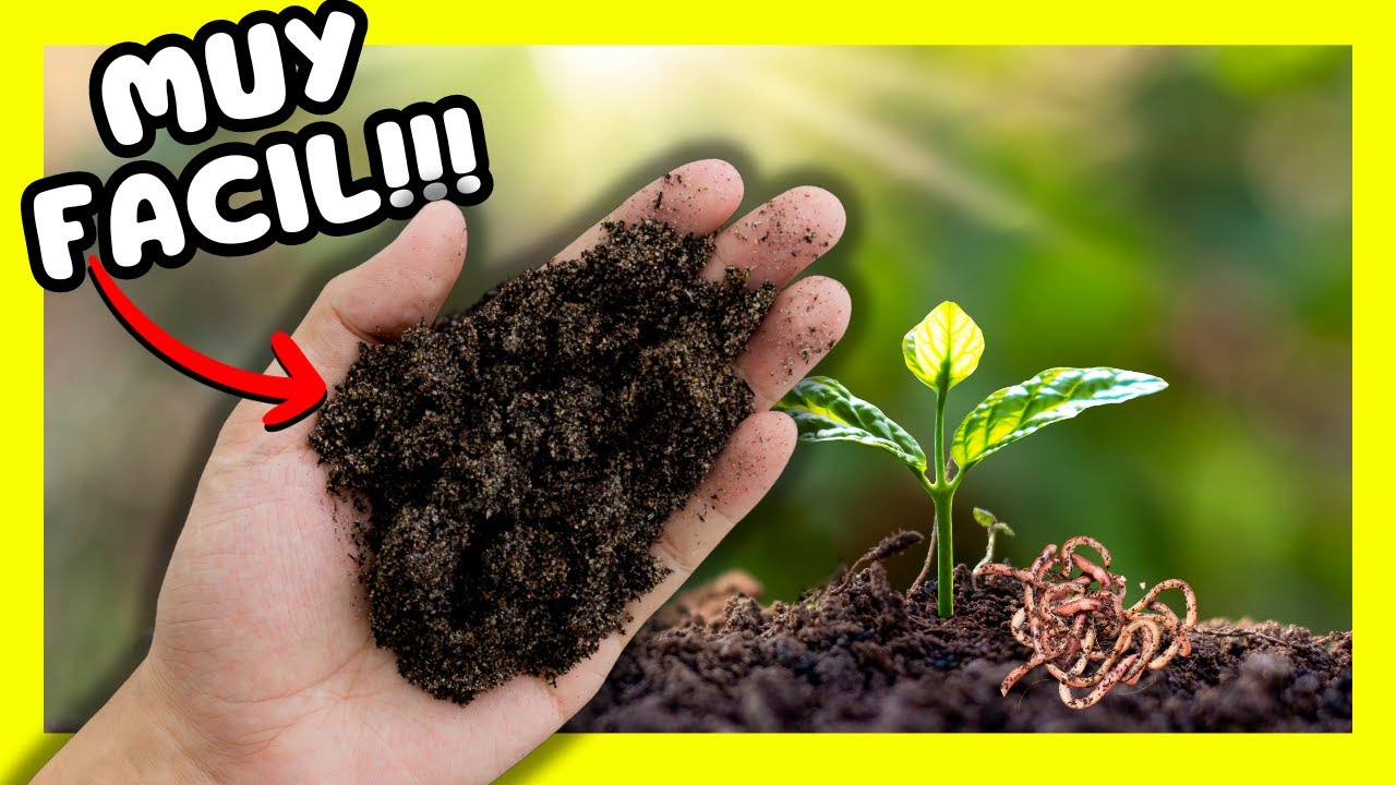 APRENDE!!! ✳️Como USAR el HUMUS de LOMBRIZ, de forma CORRECTA, Como hacer LOMBRICULTURA en casa