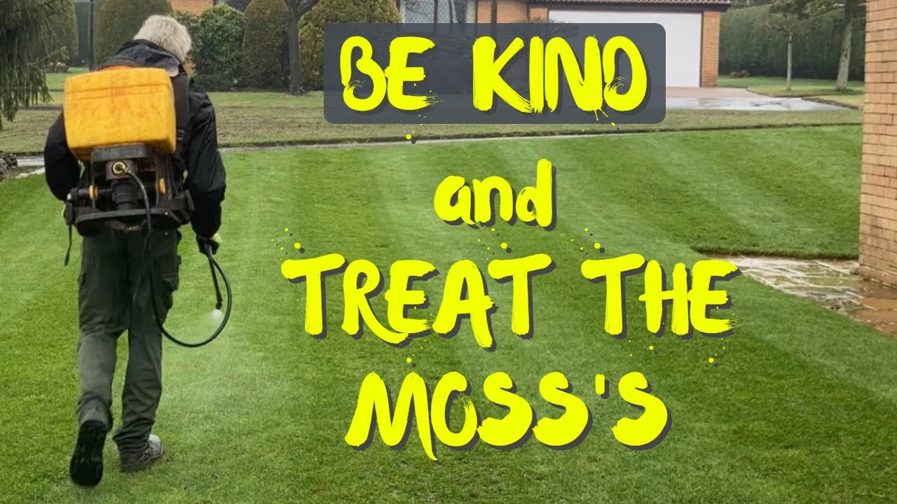 SPRAY your lawn GREEN / Control MOSS at the same time