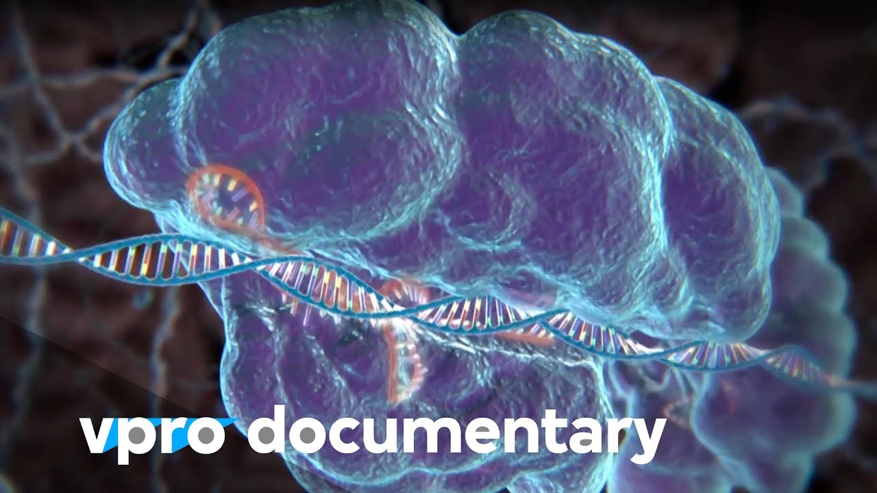 Взломать ДНК с помощью CRISPR - документальный фильм VPRO - 2018 г.