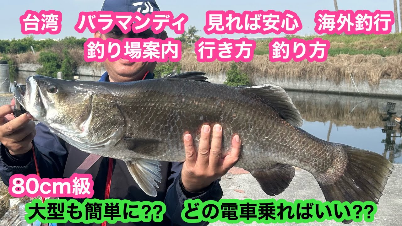 台湾　バラマンディ　大金池　見れば初めてでも安心　海外怪魚釣行　釣り場のご案内・行き方・釣り方・台湾入国　ルアー釣り