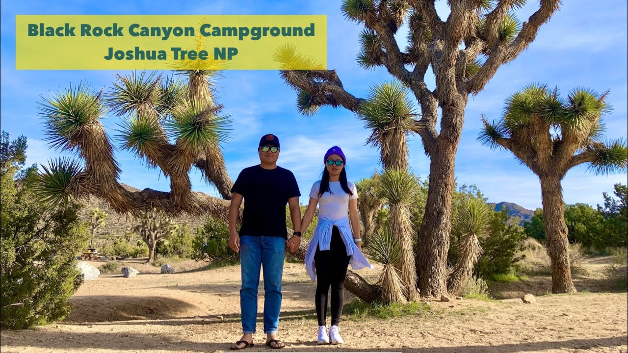Black Rock Canyon Campground, Joshua Tree National Park 🌵