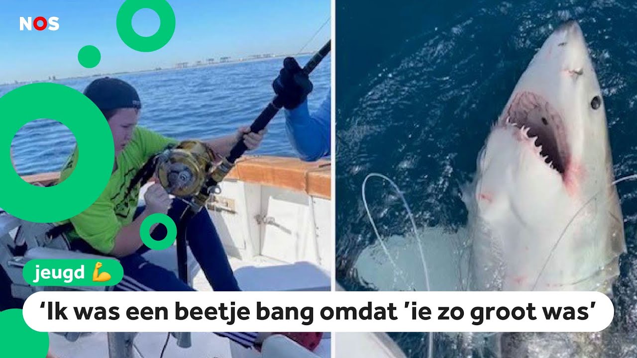 Campbell vangt een reusachtige witte haai