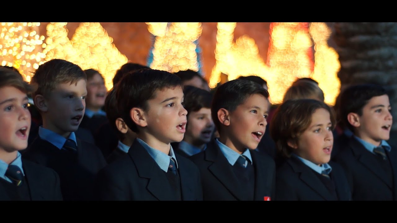 Una estrella caída del cielo