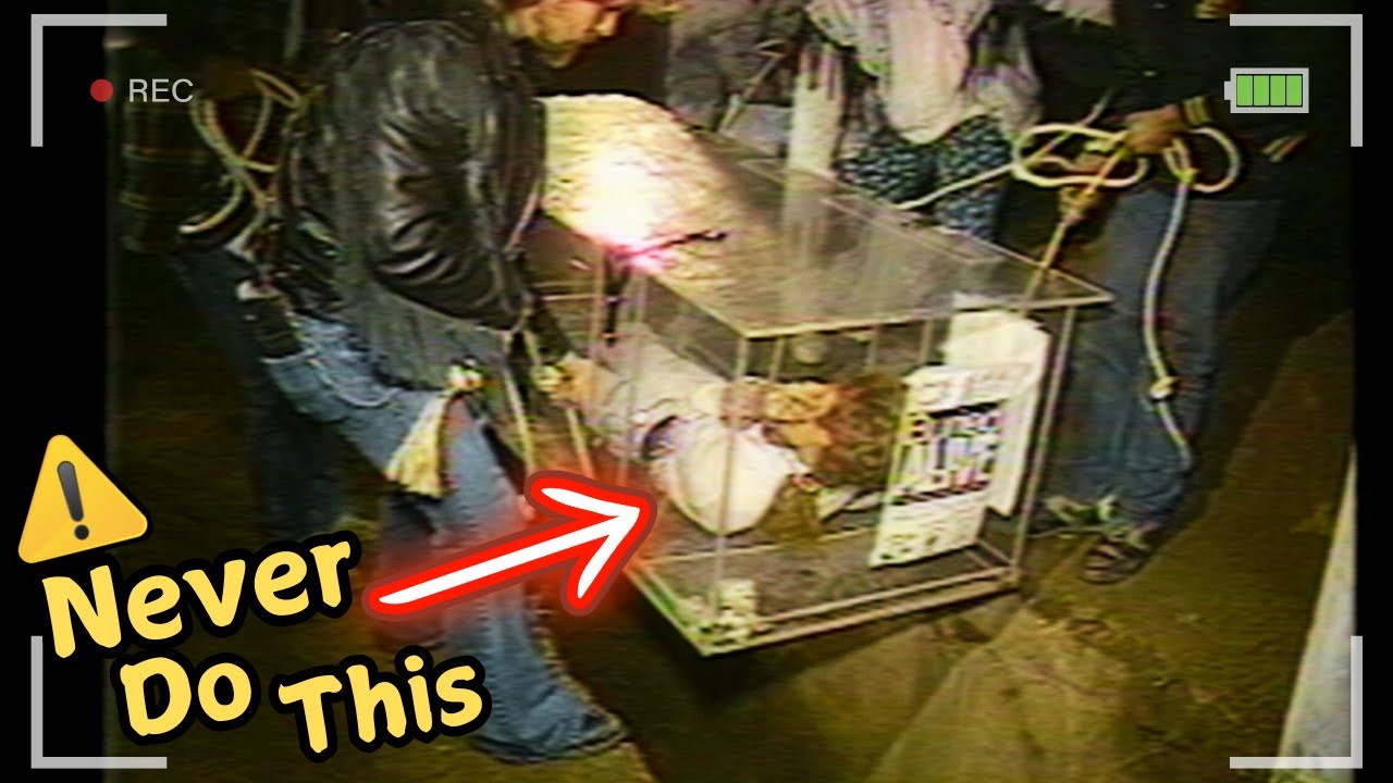 Horrifying Accident Caught Live on TV Show