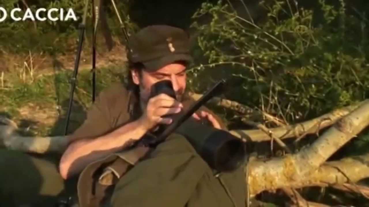 Caccia Tv - Sky 235 - IL COLPO GIUSTO IL GALLO DI SOLDEN