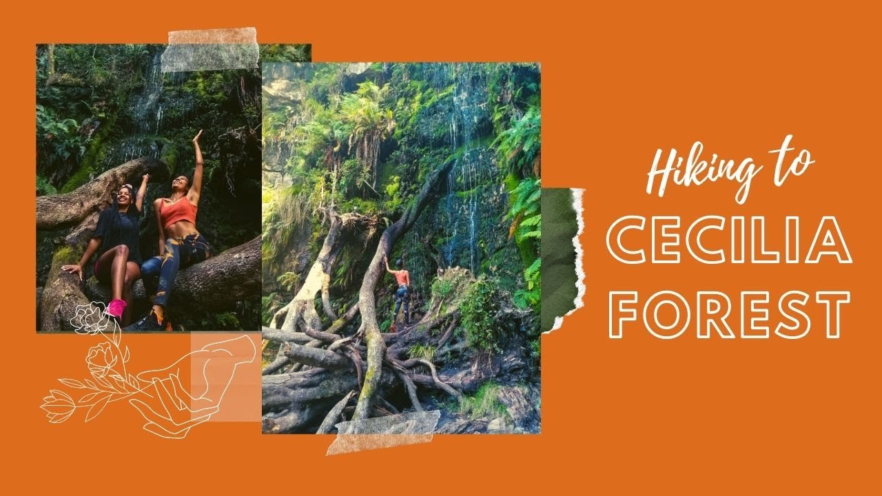 Hiking to Cecilia Forest