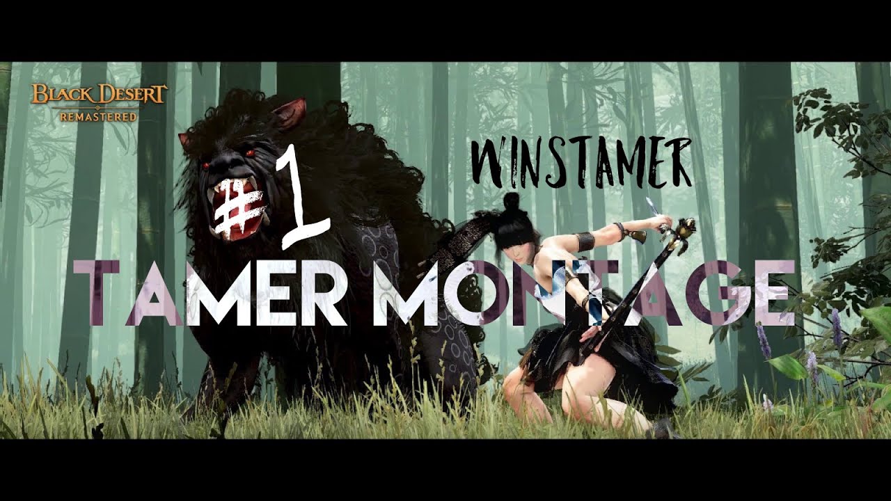 The #1 Ranked Tamer on Console BDO