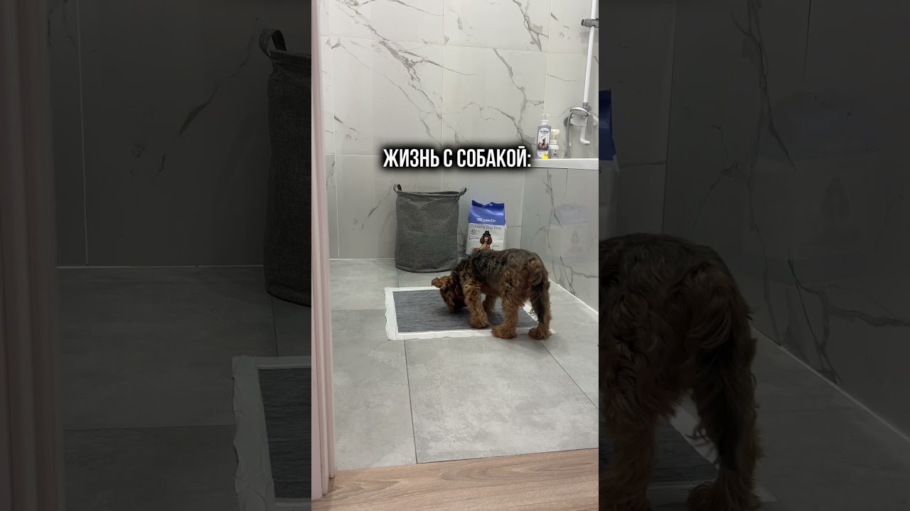Артикулы размер 45*60 см Оzon: #3407479361 WB: #761516657