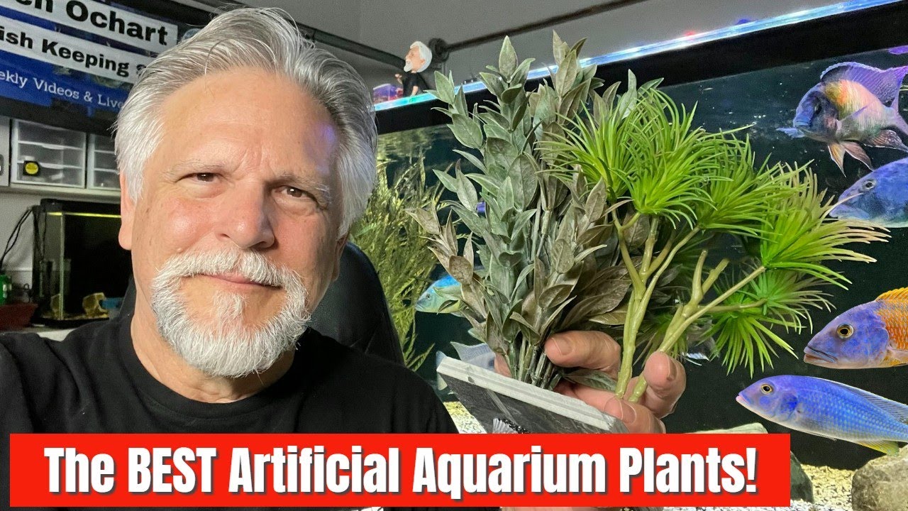 The BEST Artificial Aquarium Plants ARE BACK!