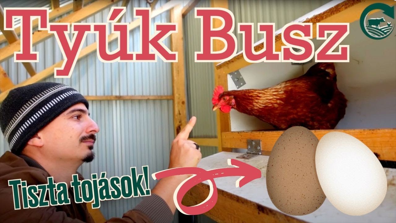 Költöztethető tyúkól, 300 tojóhoz + Tojóládák a tiszta tojásért