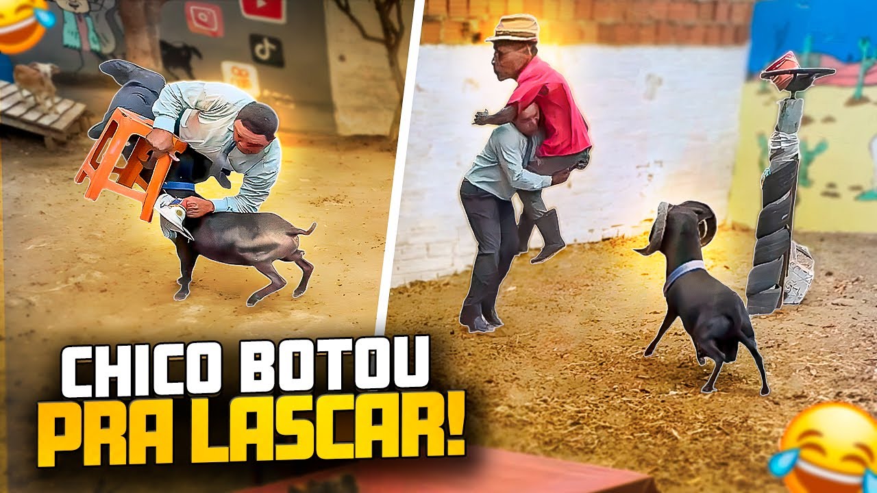 CARNEIRO CHICO ARREBENTOU GALO CEGO E BETO TIZIU - PARTE 1 🤣 | GALO CEGO