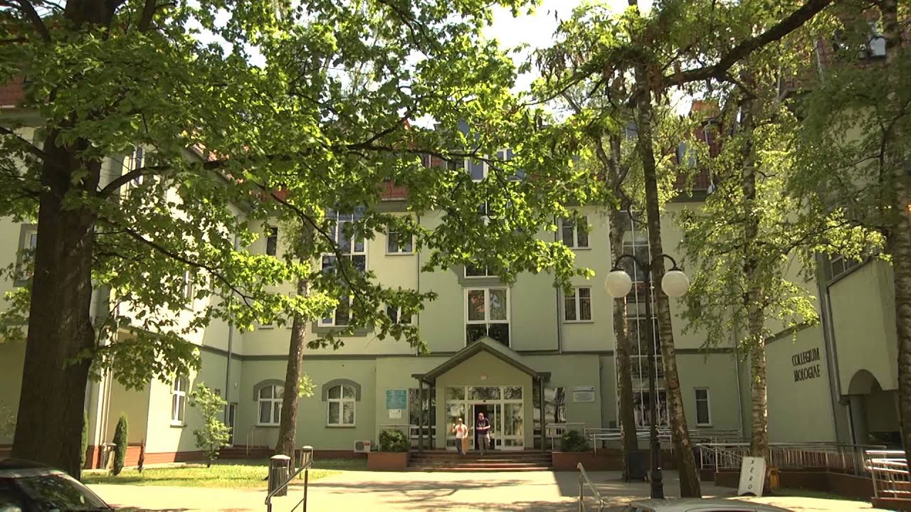 MAGICZNE KORTOWO 2014 ang