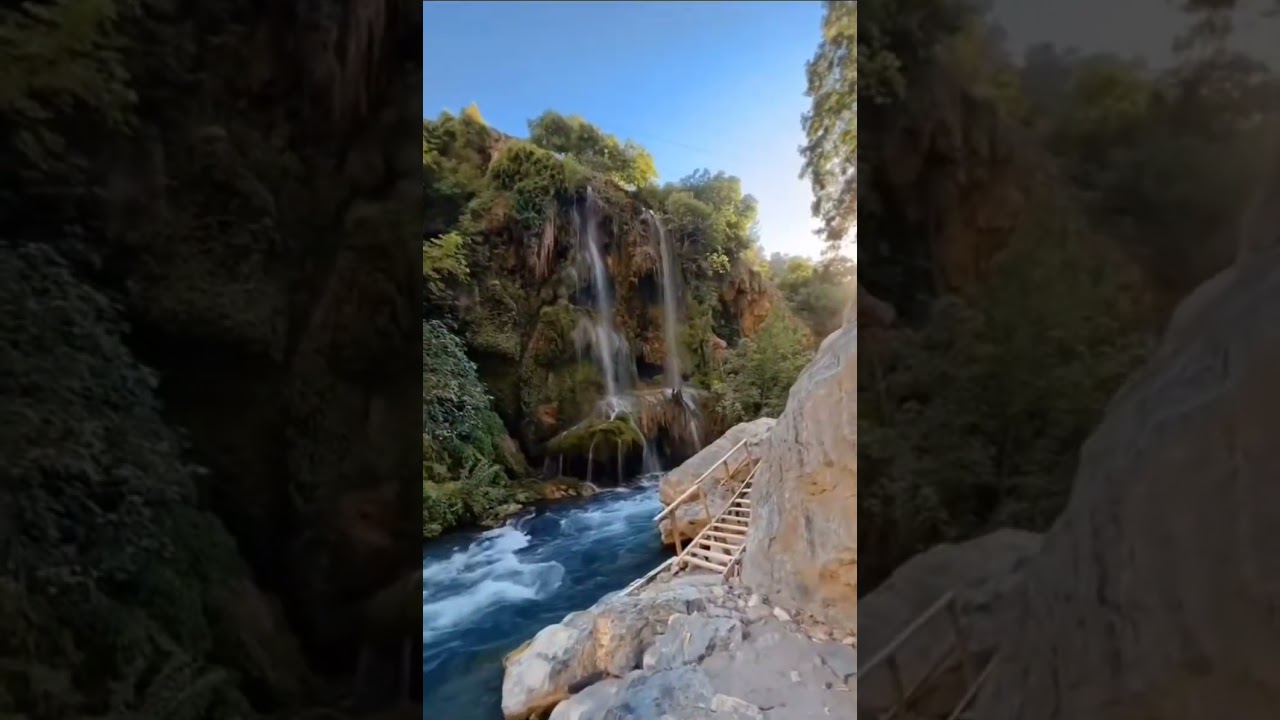 Müsafirik