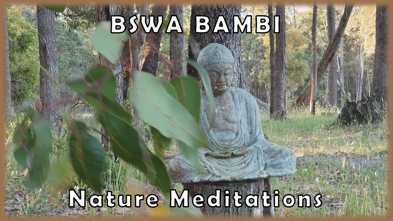 BSWA BAMBI Nature Meditations