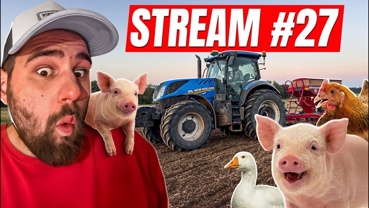 STAVÍME KURNÍK/HUSNÍK 🤣🫣