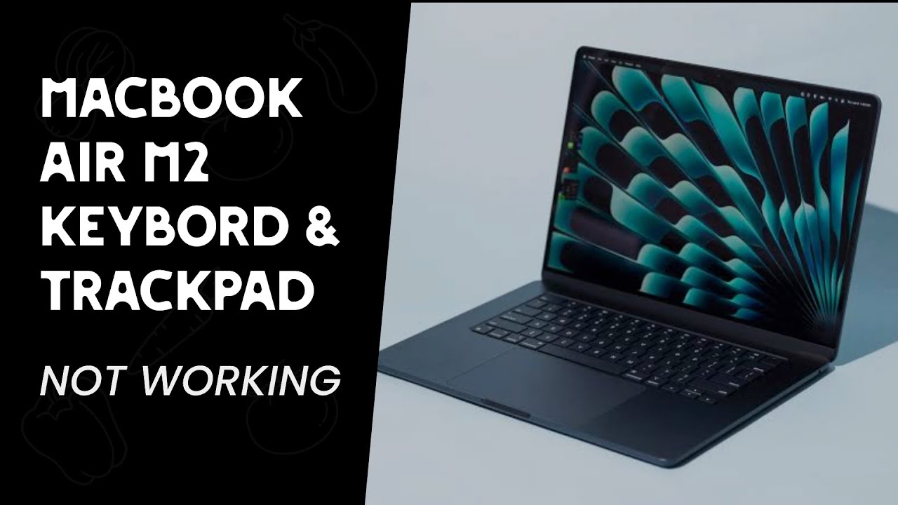 Fixing MacBook Air M2  Trackpad & Keyboard Not Responding | MacBook Air M2 | iexpert