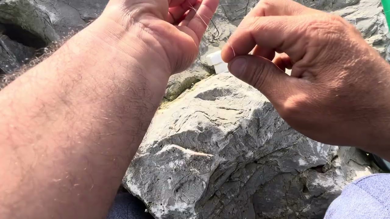 ‏ما يمكنش🐟