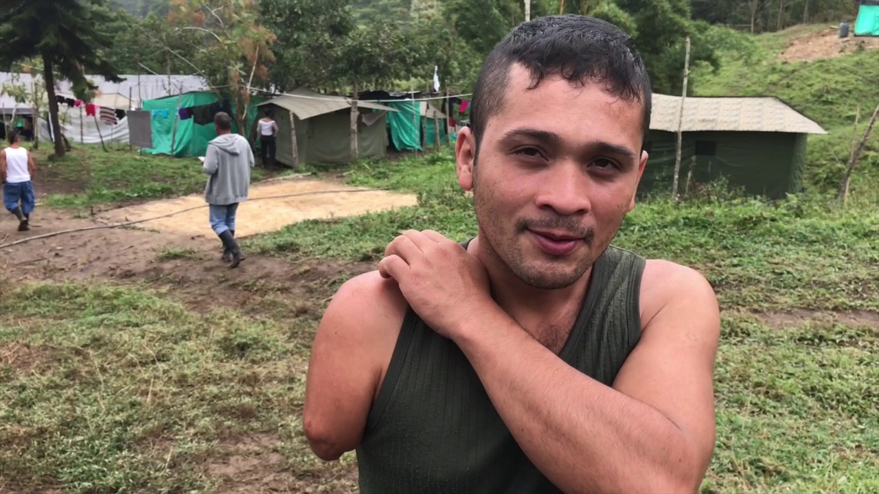 El reposo de los fusiles - Farc
