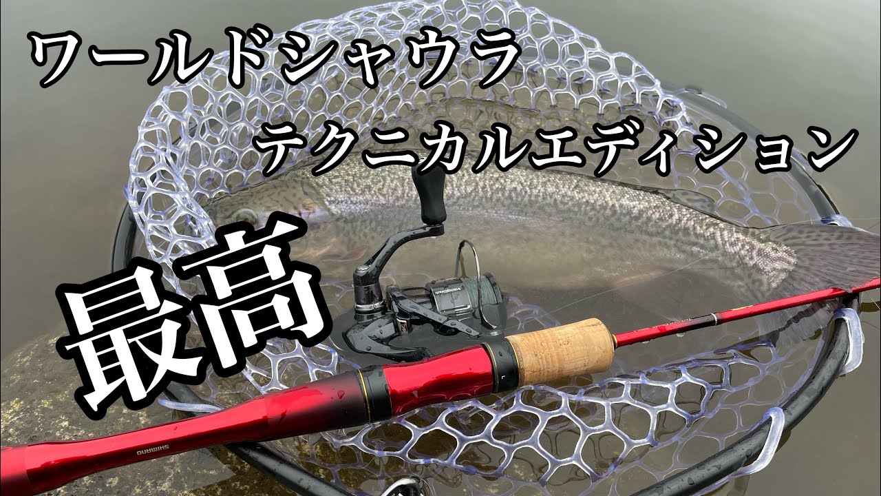 【ワールドシャウラ】ワールドシャウラテクニカルエディションが予想以上に最高でした。