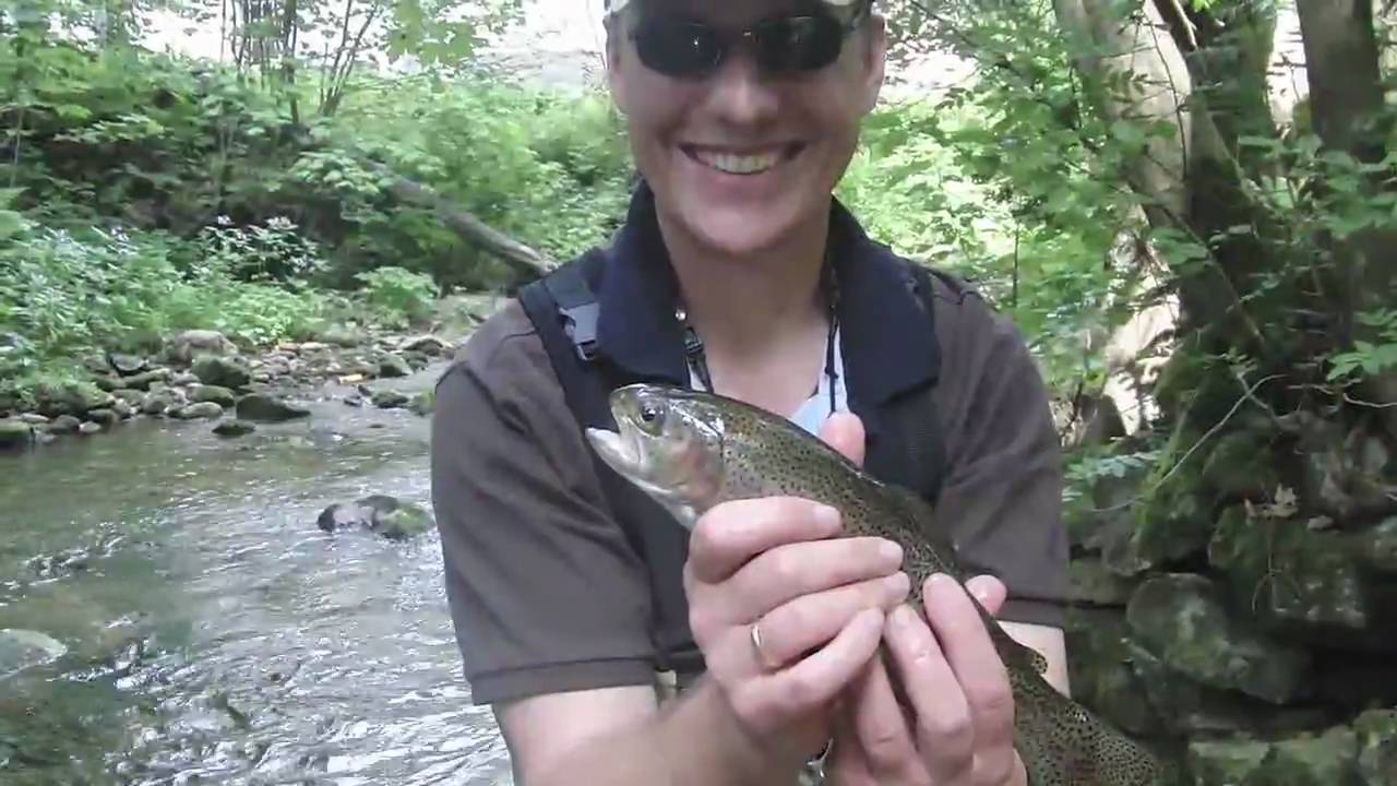 Fliegenfischen in Bayerisch Eisenstein / Flyfishing in the National Park Bayerischer Wald