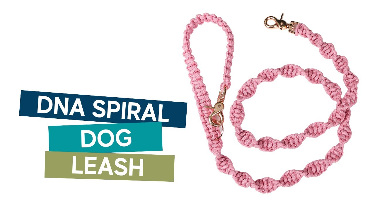 HOW TO MAKE A PARACORD DOG LEASH TUTORIAL // DNA spiral paracord weave