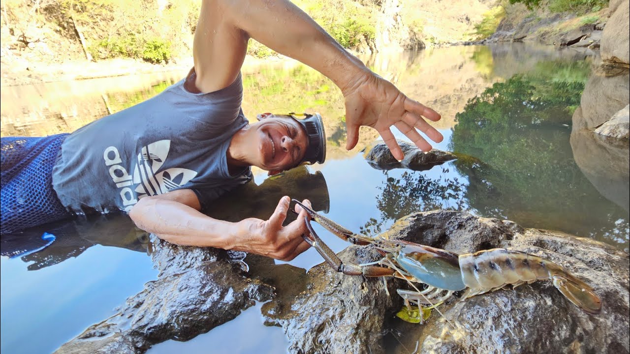 Pobre Don jose que mordida le dio este camarón gigante