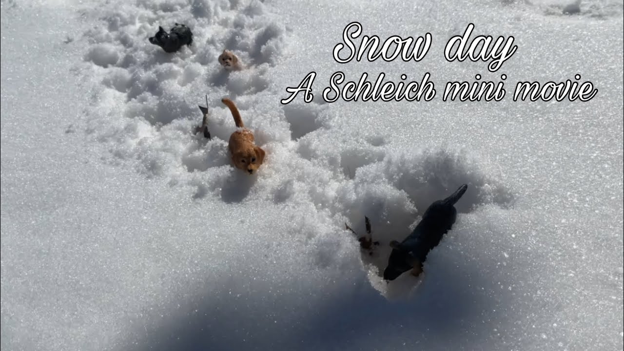 СНЕЖНЫЙ ДЕНЬ | Оригинальный мини-фильм о собаке Schleich! |