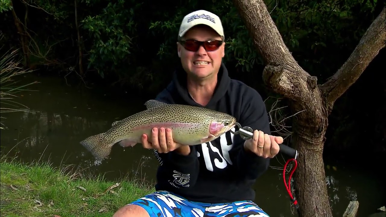 IFISH Monster Rainbow Trout