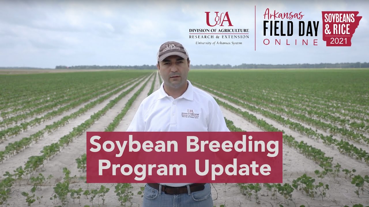 Arkansas Soybean Breeding Program Update (2021 Ark. Field Day)