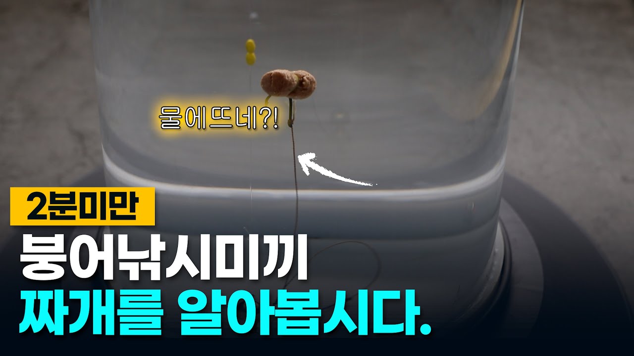 붕어낚시 미끼/민물낚시 미끼/민물낚시 미끼 종류/짜개