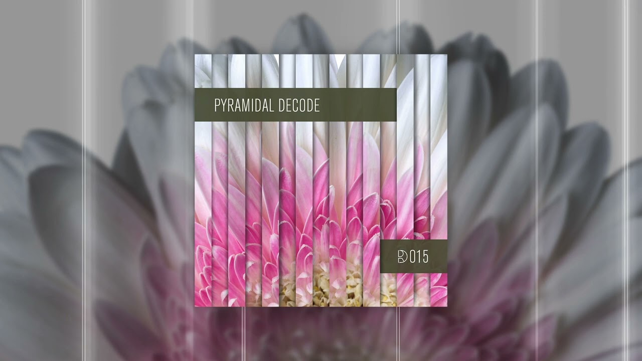 Dynamic Reflection Podcast Series 015: Pyramidal Decode