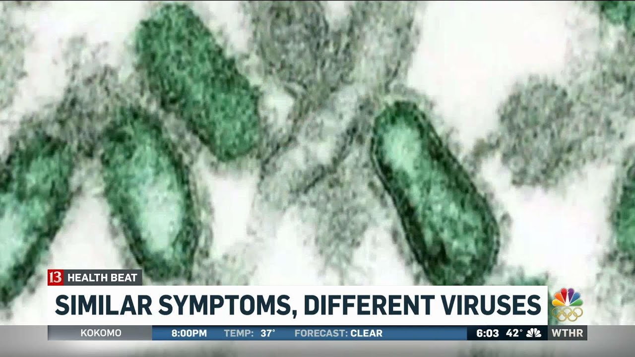 Similar symptoms, different viruses