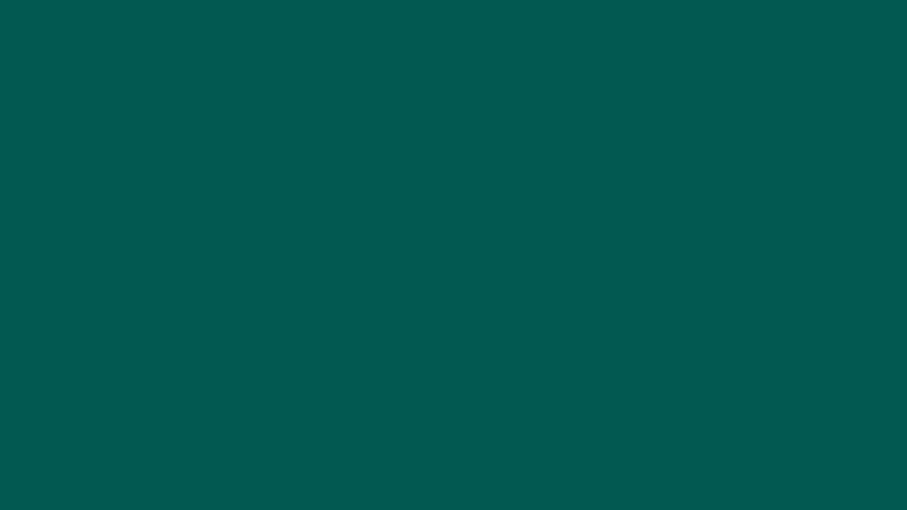 Deep Teal || RGB (0, 90, 95) || HEX #005A5F