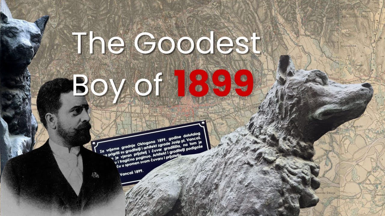 The Goodest Boy of 1899: The Construction Dog Pluto #history #croatia #zagreb #dog