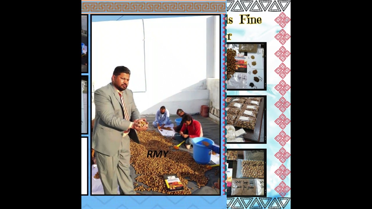 Soap Nuts Complete Powder/Soap Nuts Seeds Shells Fine Granulate Powder.