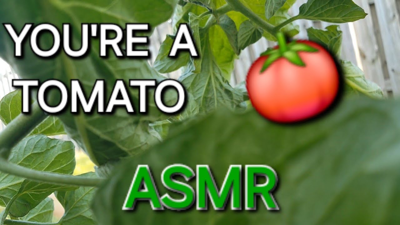 You Are A Tomato ASMR